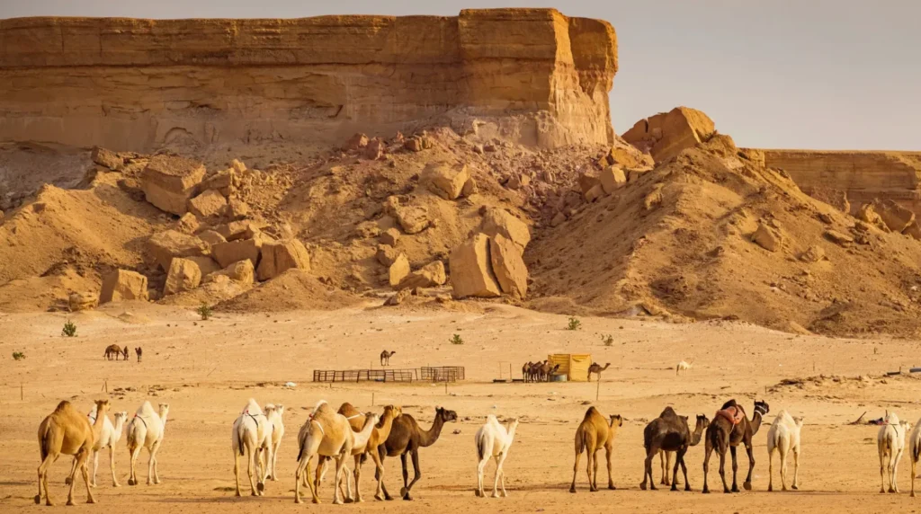 サウジアラビアの風景